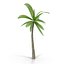 coconut tree 3d model