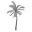 coconut tree 3d model