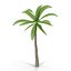coconut tree 3d model