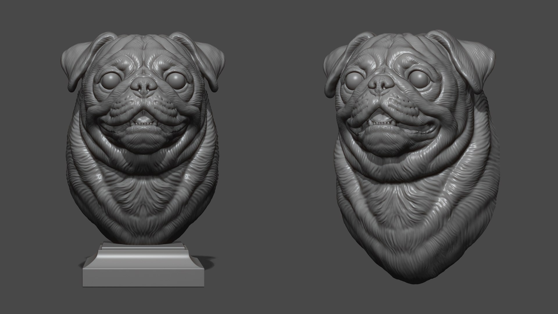 3D Model Pug Bust Version 2 - TurboSquid 2258531