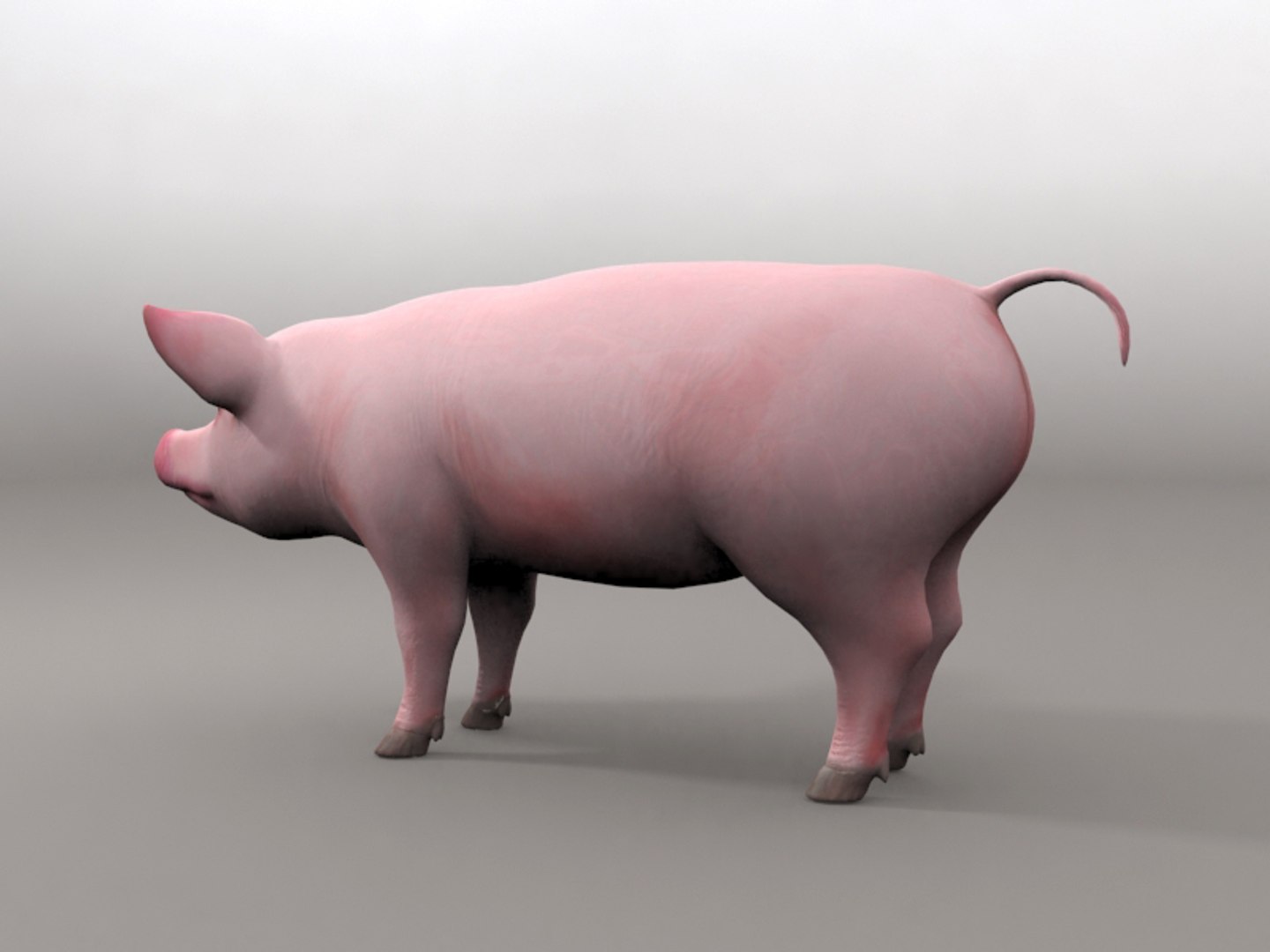 3dsmax pig https://p.turbosquid.com/ts-thumb/5N/Ylbm8m/fz6Te2mj/5/jpg/1418113816/1920x1080/fit_q87/9cf0d82486571fe73d2794f927296ae81bfc2b79/5.jpg