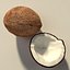 coconut