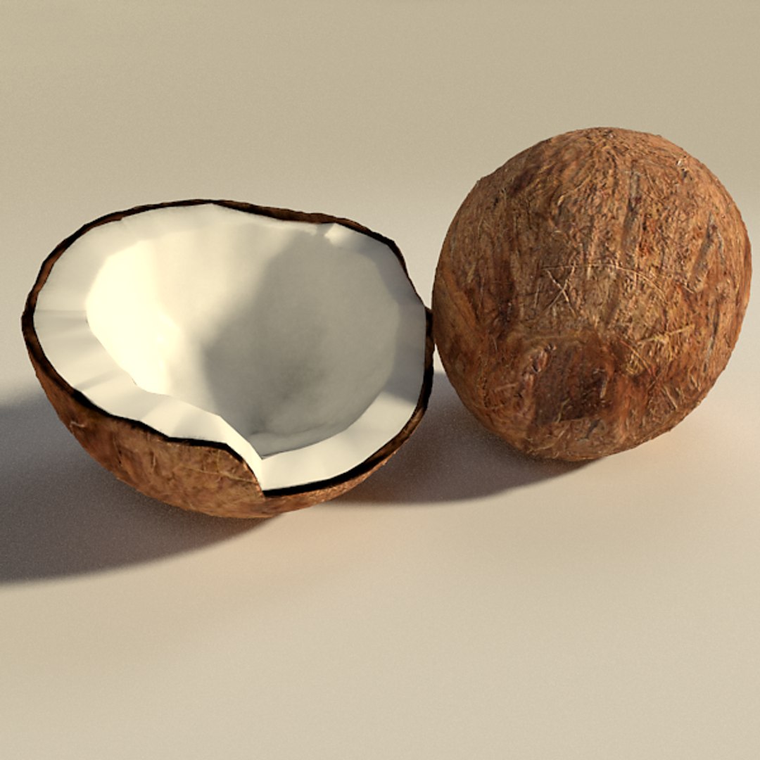 coconut https://p.turbosquid.com/ts-thumb/5N/hXl6Ql/lvC6D8Gy/one/png/1382645894/1920x1080/fit_q87/5a235c879ed6abb9ae4d389fc99bf1ceaa25f7dc/one.jpg