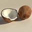 coconut