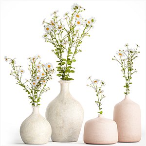 Set of bouquets of white wildflowers chamomile daisies 414 model