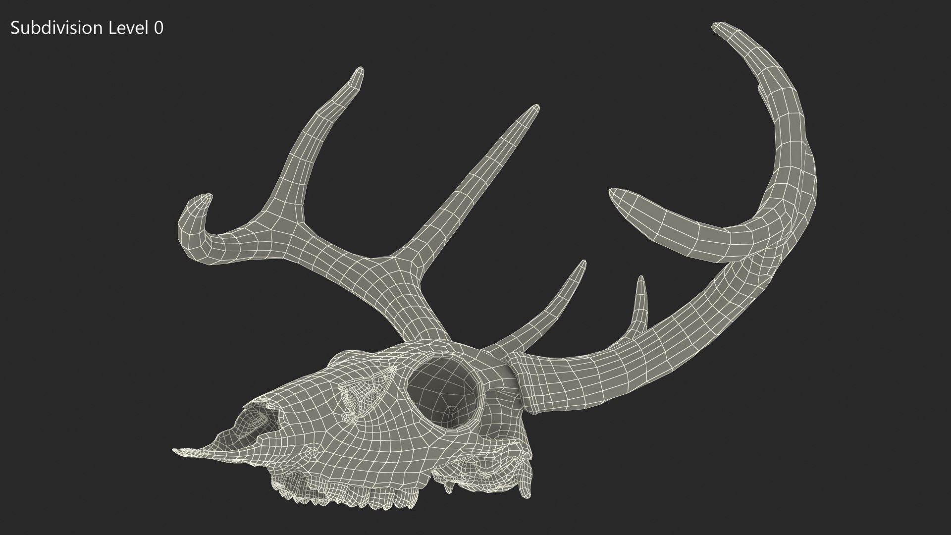 3D model Deer Skull with Antlers https://p.turbosquid.com/ts-thumb/5N/mnY02L/NZ/deerskullwithantlersc4dmodel017/jpg/1688572767/1920x1080/fit_q87/0b2838fb329f8c354769f73b369252edf9f7f4a1/deerskullwithantlersc4dmodel017.jpg