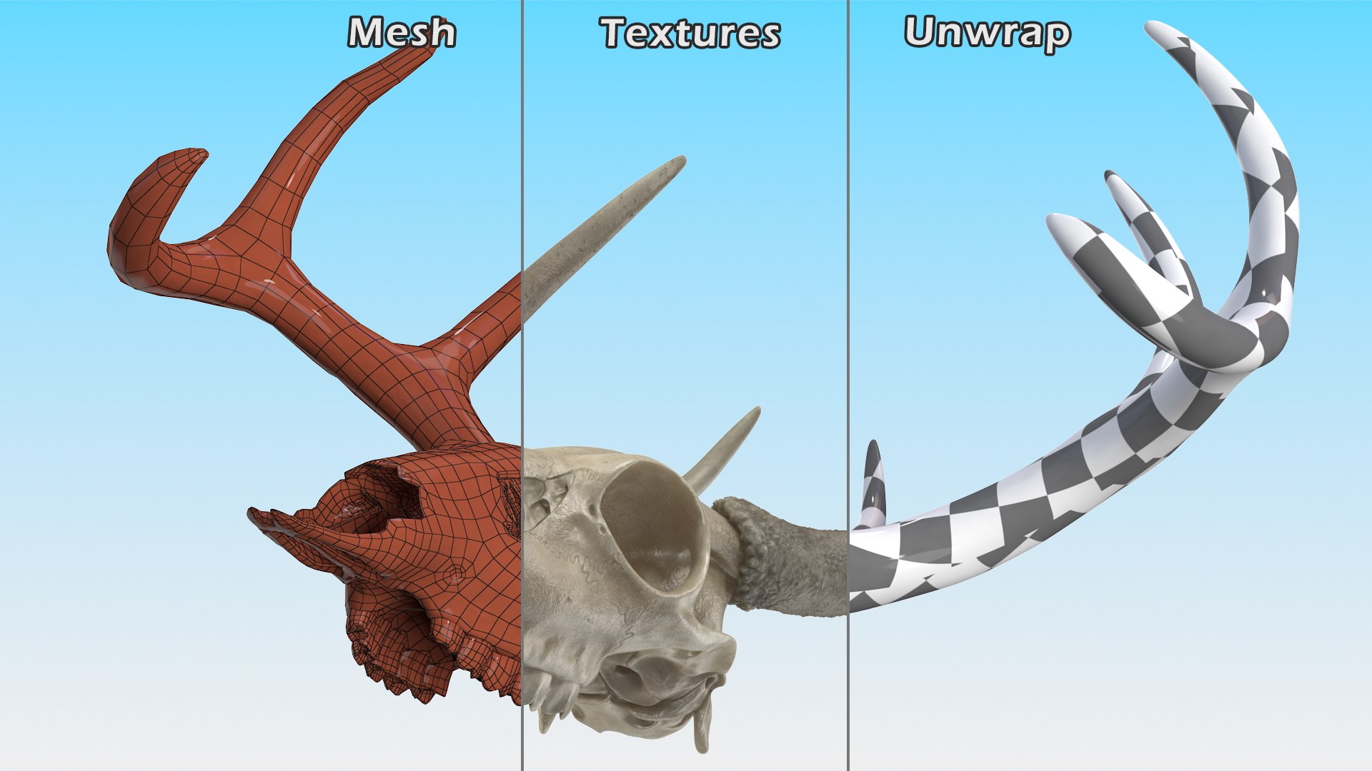 3D model Deer Skull with Antlers https://p.turbosquid.com/ts-thumb/5N/mnY02L/T3/deerskullwithantlersc4dmodel016/jpg/1688572762/1920x1080/fit_q87/e85f3a82719a572b0f421b0c752cb1e91178c1cd/deerskullwithantlersc4dmodel016.jpg