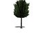 3d tree model