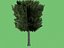 3d tree model