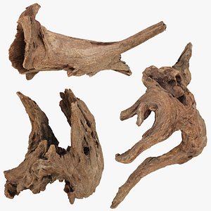 Driftwood Piece Collection 3D model