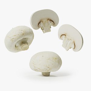 Champignon - Mushroom model