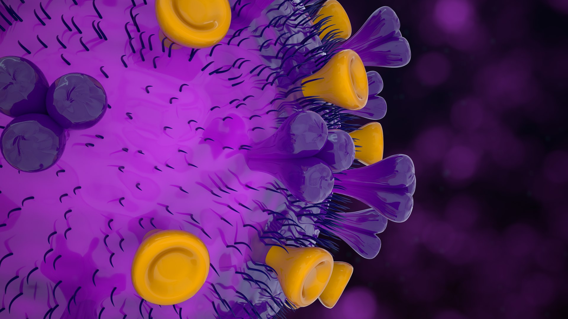HIV Virus 3D Model - TurboSquid 2224425