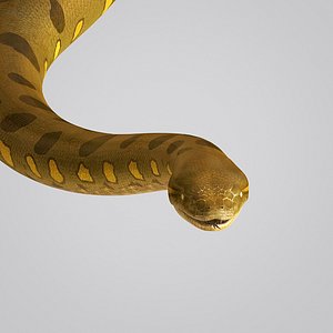 3ds max anaconda snake