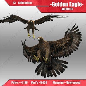 golden eagle animations 3d max