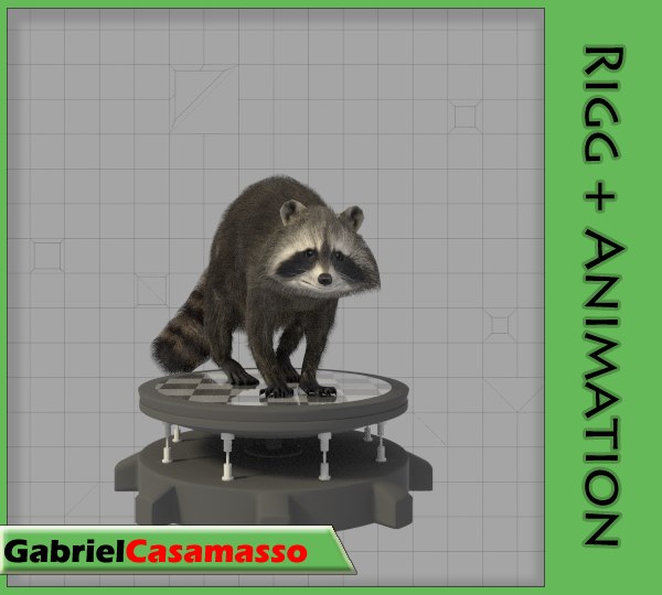 modelo 3d Mapache - TurboSquid 990535