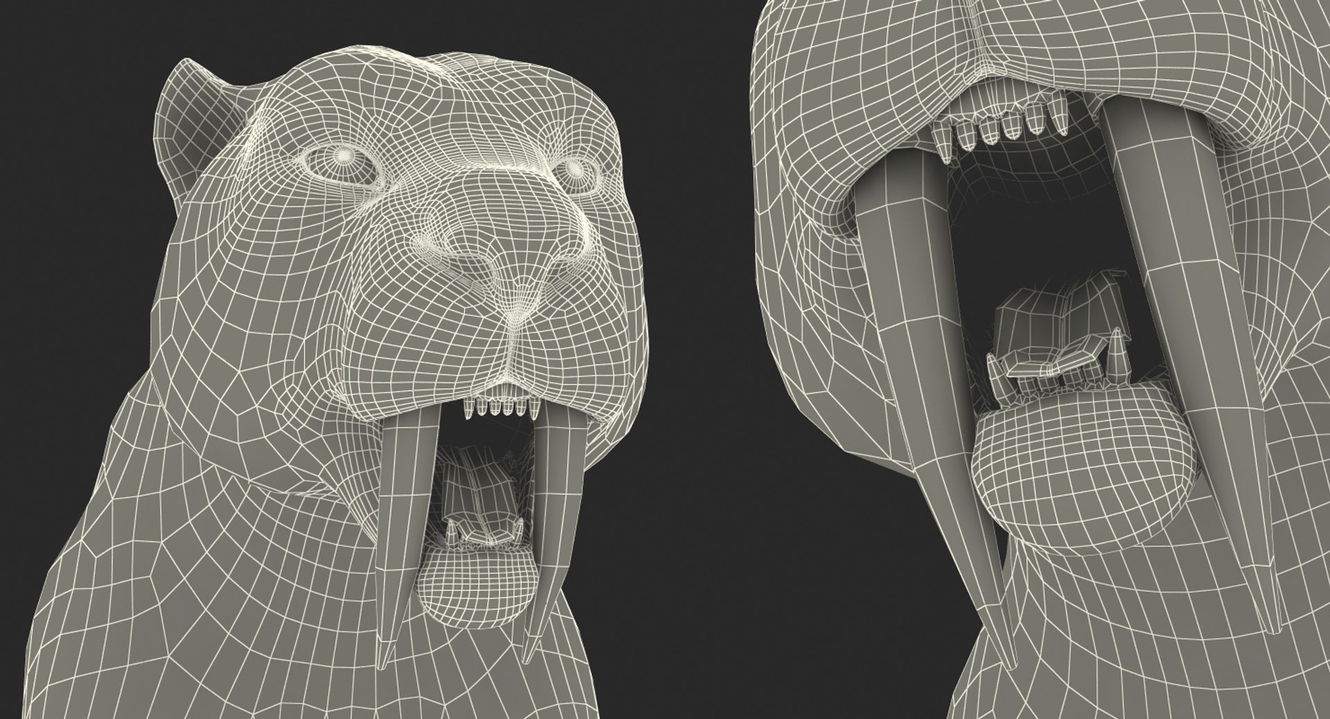 Saber Tooth Tiger Rigged 3D - TurboSquid 1329668