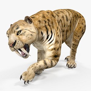 saber tooth tiger rigged 3D