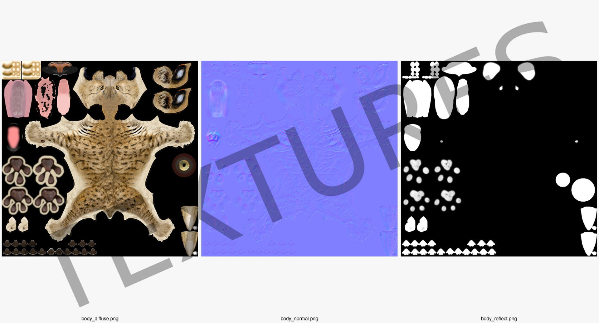 Saber Tooth Tiger Rigged 3D - TurboSquid 1329668