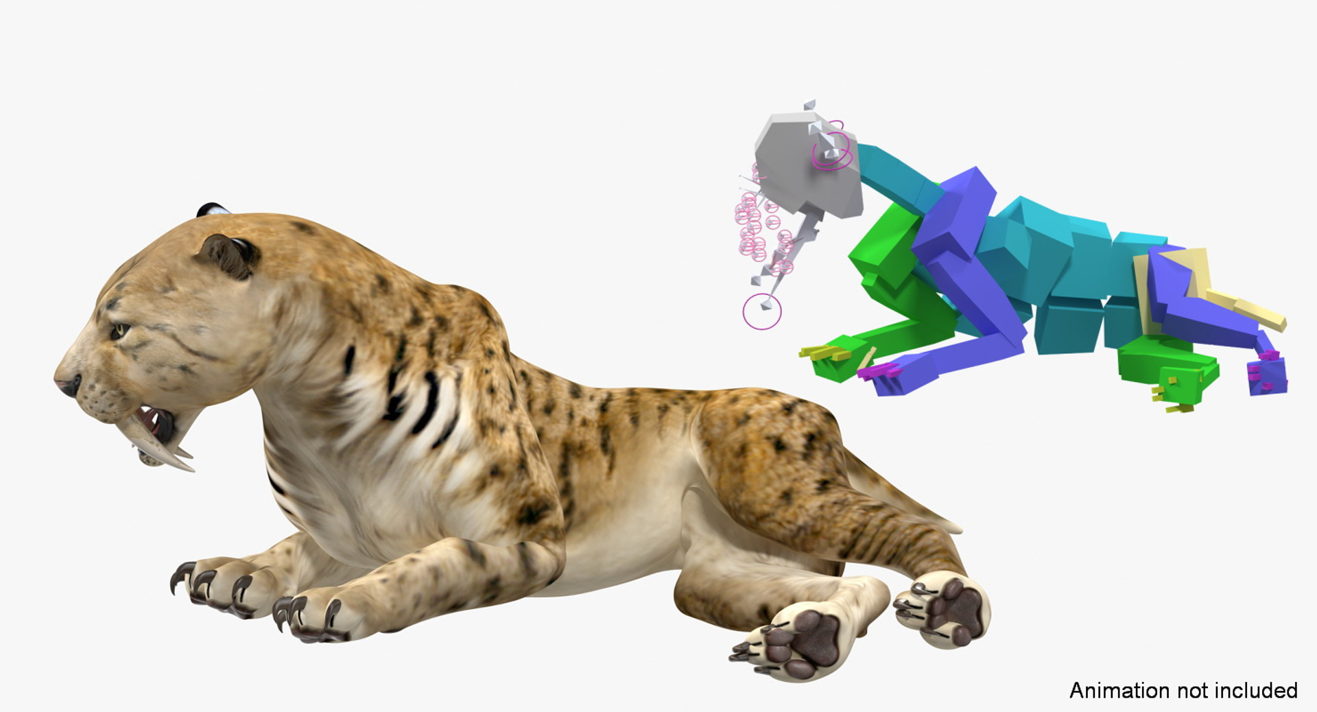 Saber Tooth Tiger Rigged 3D - TurboSquid 1329668
