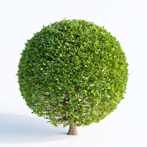 3D bushes collection vol 61 model - TurboSquid 1957606