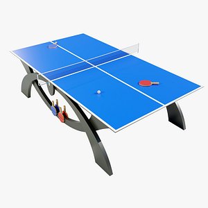 Ping Pong Table