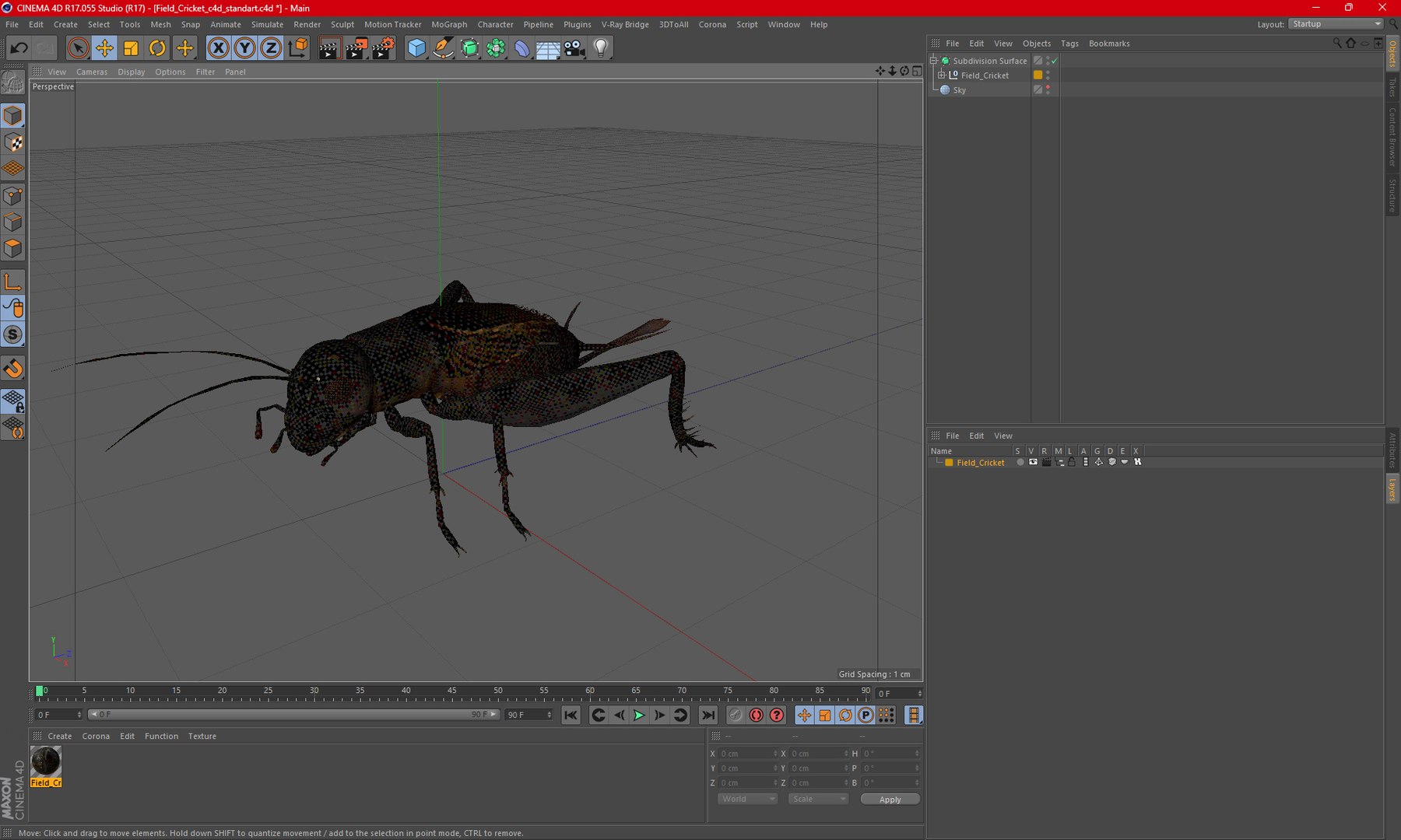Field Cricket 3D model https://p.turbosquid.com/ts-thumb/5O/jArkMe/1N/fieldcricketmb3dmodel016/jpg/1719625677/1920x1080/fit_q87/99d42a0b183b450f84c8b73d9e197693b864225e/fieldcricketmb3dmodel016.jpg