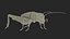 Field Cricket 3D model