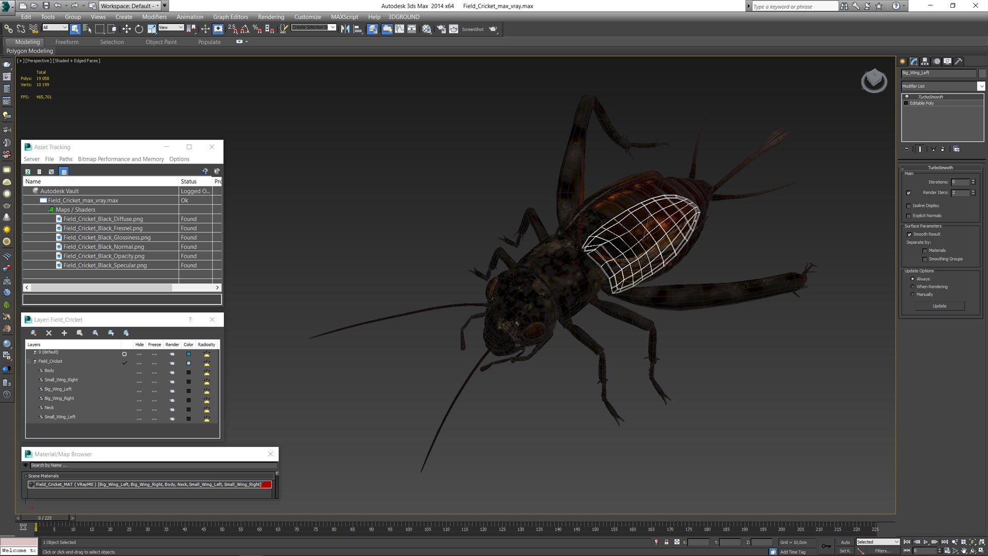 Field Cricket 3D model https://p.turbosquid.com/ts-thumb/5O/jArkMe/wX/fieldcricketmb3dmodel015/jpg/1719625674/1920x1080/fit_q87/c113dfabbe789ca1b359ee6fead6cf94d717cec9/fieldcricketmb3dmodel015.jpg