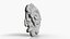 Fungo Fossile 15