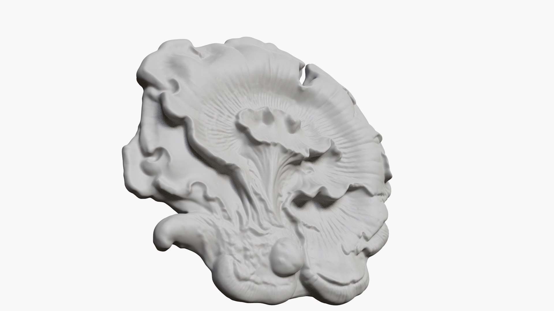 Fungus Fossil 15 3D model https://p.turbosquid.com/ts-thumb/5O/qDplxm/XO/2_fungusfossil15_fullquality_00005/jpg/1730249006/1920x1080/fit_q87/d89a7f9dd03286cf78bfdb1d986928cc7ba39160/2_fungusfossil15_fullquality_00005.jpg