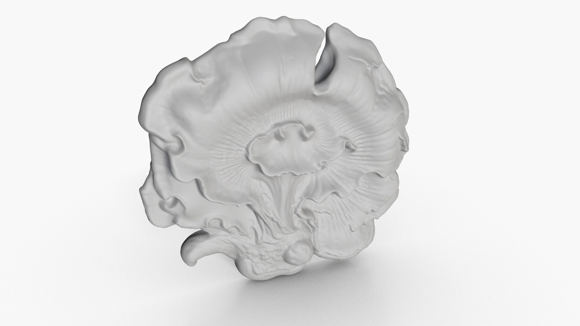 Fungus Fossil 15 3D model https://p.turbosquid.com/ts-thumb/5O/qDplxm/qj/2_fungusfossil15_fullquality_00004/jpg/1730249003/1920x1080/fit_q87/bbb55773516d9d382b10cd2fa5c12c77a41e3ae2/2_fungusfossil15_fullquality_00004.jpg