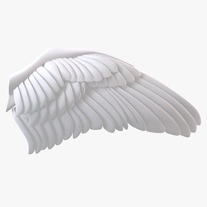 wings 3D model