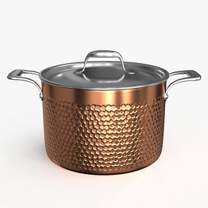 Stainless Steel Cookware Pan