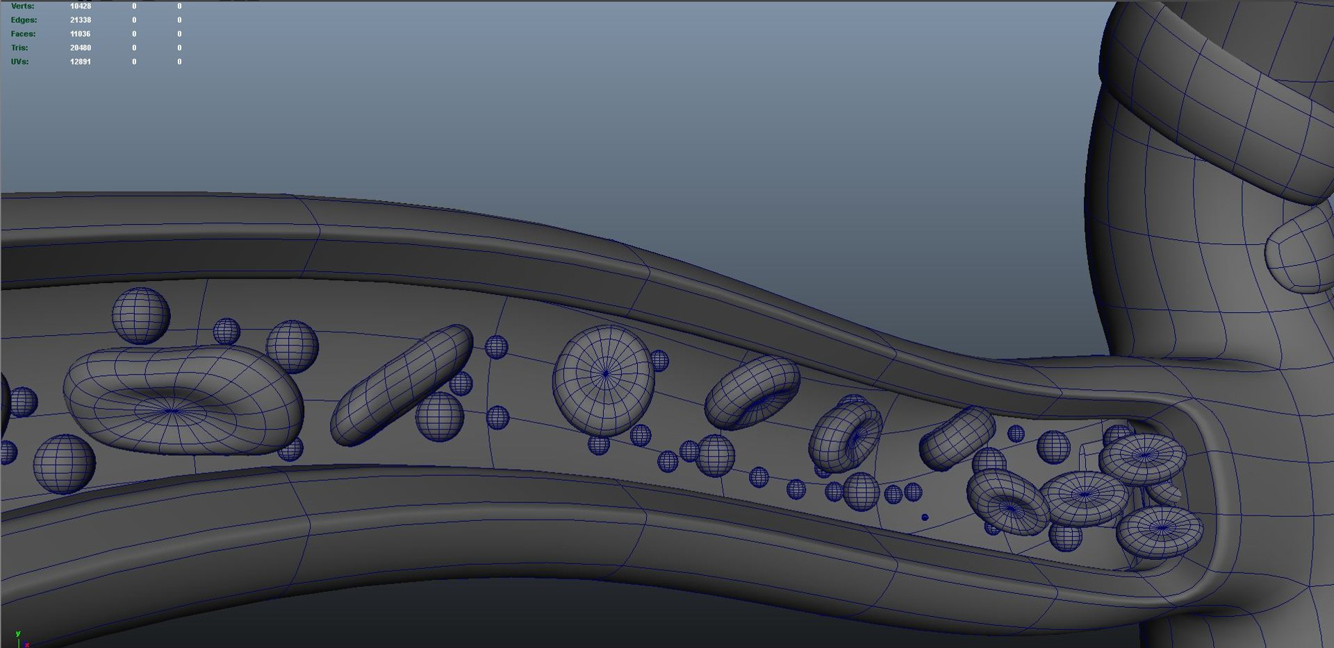 Capillary Diffusion 3d Obj