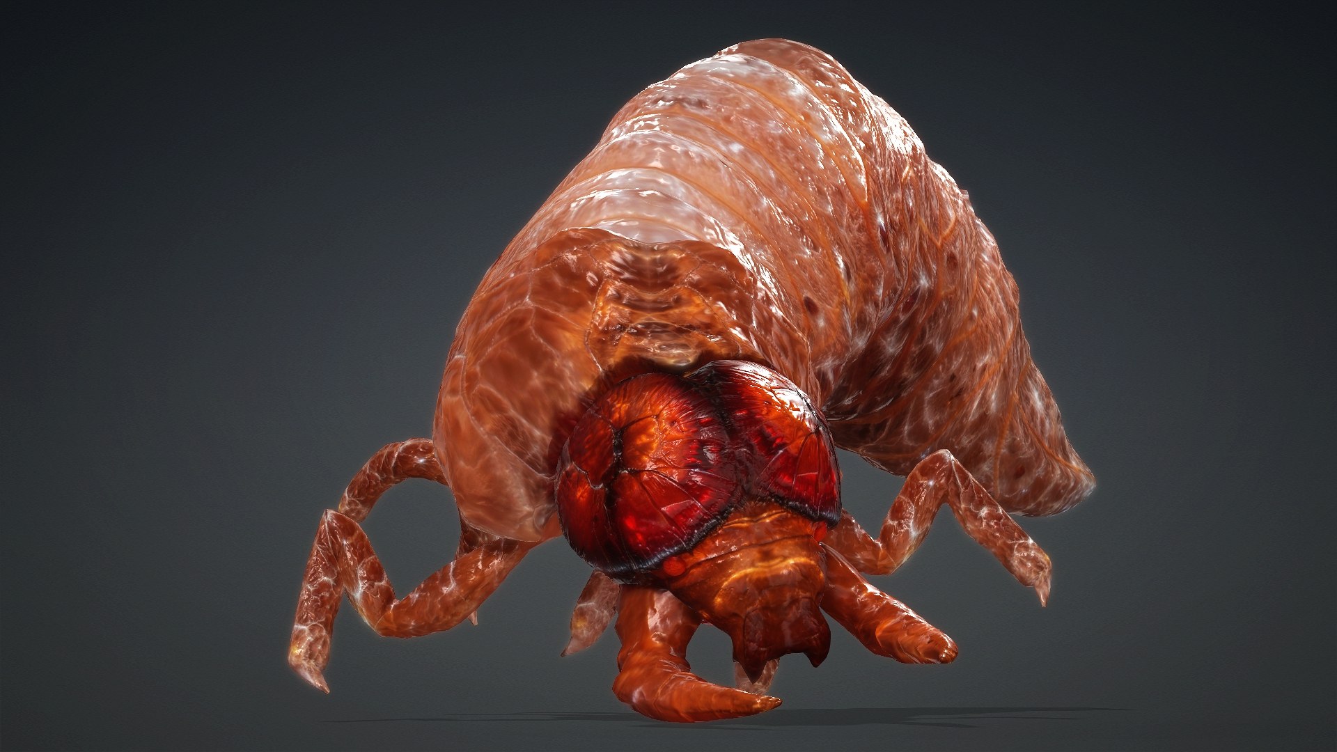 3D Larval-V1e https://p.turbosquid.com/ts-thumb/5P/DEdYiq/1N/preview6/jpg/1776844380/1920x1080/fit_q87/f175485276be44095445a5ce8e83ce67dd6e70c1/preview6.jpg