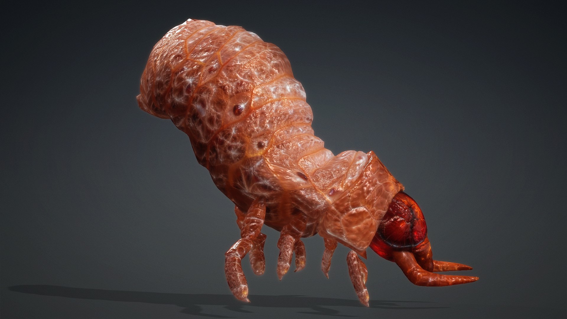 3D Larval-V1e https://p.turbosquid.com/ts-thumb/5P/DEdYiq/Be/preview7/jpg/1776844381/1920x1080/fit_q87/cbef3843a8b9935cd51ae04efecc73e622f0bd55/preview7.jpg