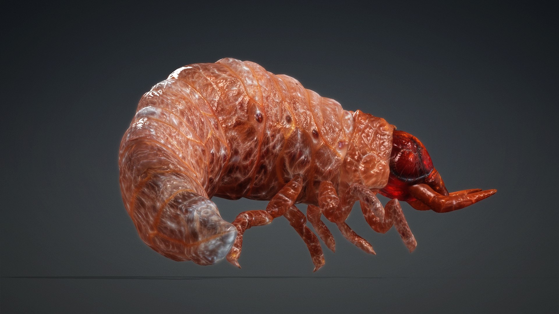 3D Larval-V1e https://p.turbosquid.com/ts-thumb/5P/DEdYiq/Ck/preview9/jpg/1776844382/1920x1080/fit_q87/cc0ac0a4748bd26e7ef79fe41f2497ede64edbc9/preview9.jpg