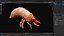 Larval-V1e
