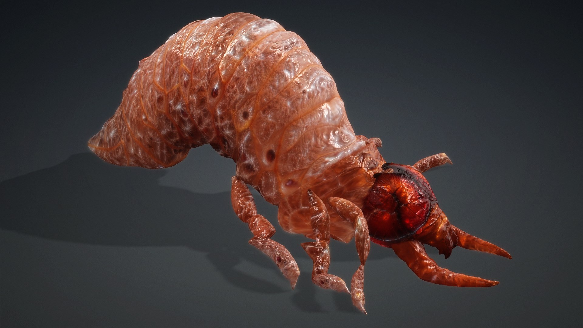 3D Larval-V1e https://p.turbosquid.com/ts-thumb/5P/DEdYiq/Ot/preview14/jpg/1776844384/1920x1080/fit_q87/3824b4fbd833c4eed48b68d04d04d55d50e60260/preview14.jpg