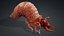 Larval-V1e