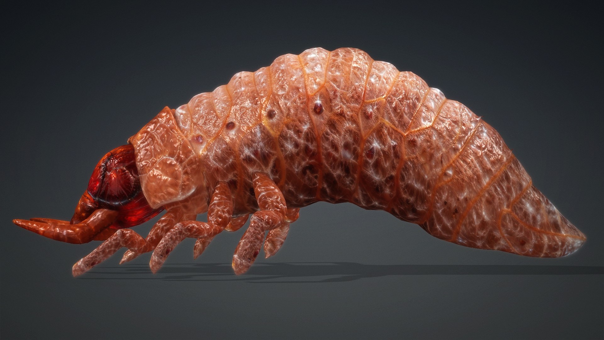 3D Larval-V1e https://p.turbosquid.com/ts-thumb/5P/DEdYiq/Q4/preview2/jpg/1776844378/1920x1080/fit_q87/fcf1ebd62d772812961094d54a2763b4dcd303dd/preview2.jpg