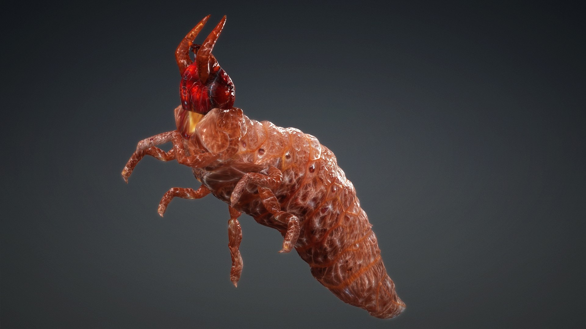 3D Larval-V1e https://p.turbosquid.com/ts-thumb/5P/DEdYiq/Tt/preview13/jpg/1776844384/1920x1080/fit_q87/5caa483ca089e2338c8db428d5cfef3f4f63bd7c/preview13.jpg