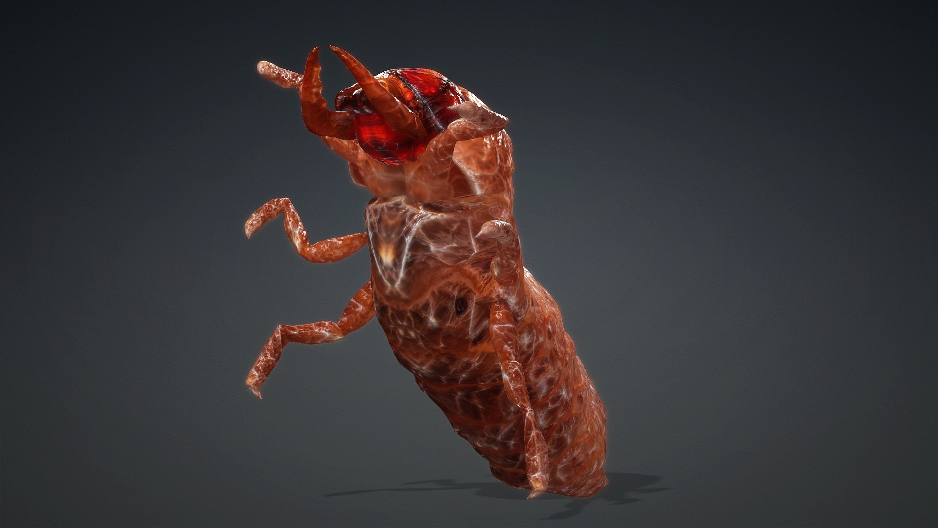 3D Larval-V1e https://p.turbosquid.com/ts-thumb/5P/DEdYiq/ZM/preview10/jpg/1776844382/1920x1080/fit_q87/925eefb0f929ede3d389dfd06389ec1425bb4ec3/preview10.jpg