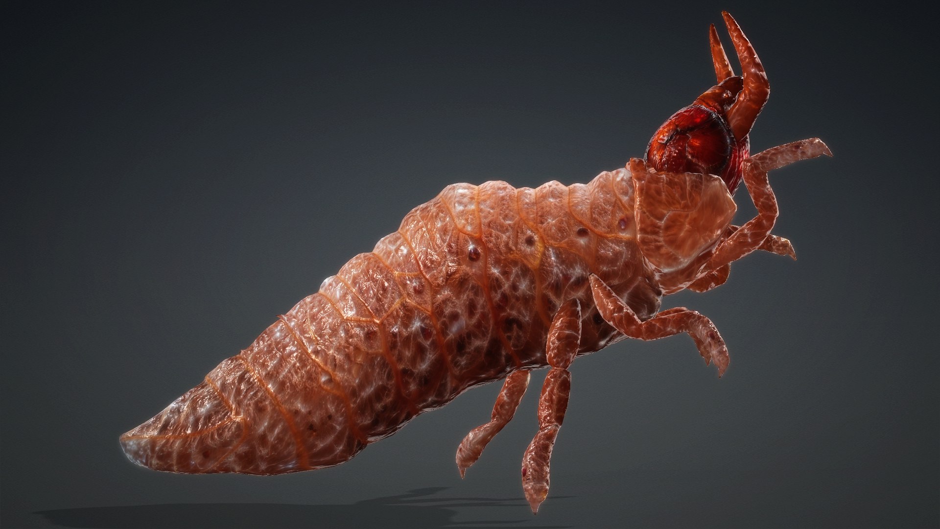 3D Larval-V1e https://p.turbosquid.com/ts-thumb/5P/DEdYiq/Zd/preview15/jpg/1776844385/1920x1080/fit_q87/157bcd59d9dfdc08e9d5a1d7193c12710b49030f/preview15.jpg