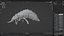 Larval-V1e