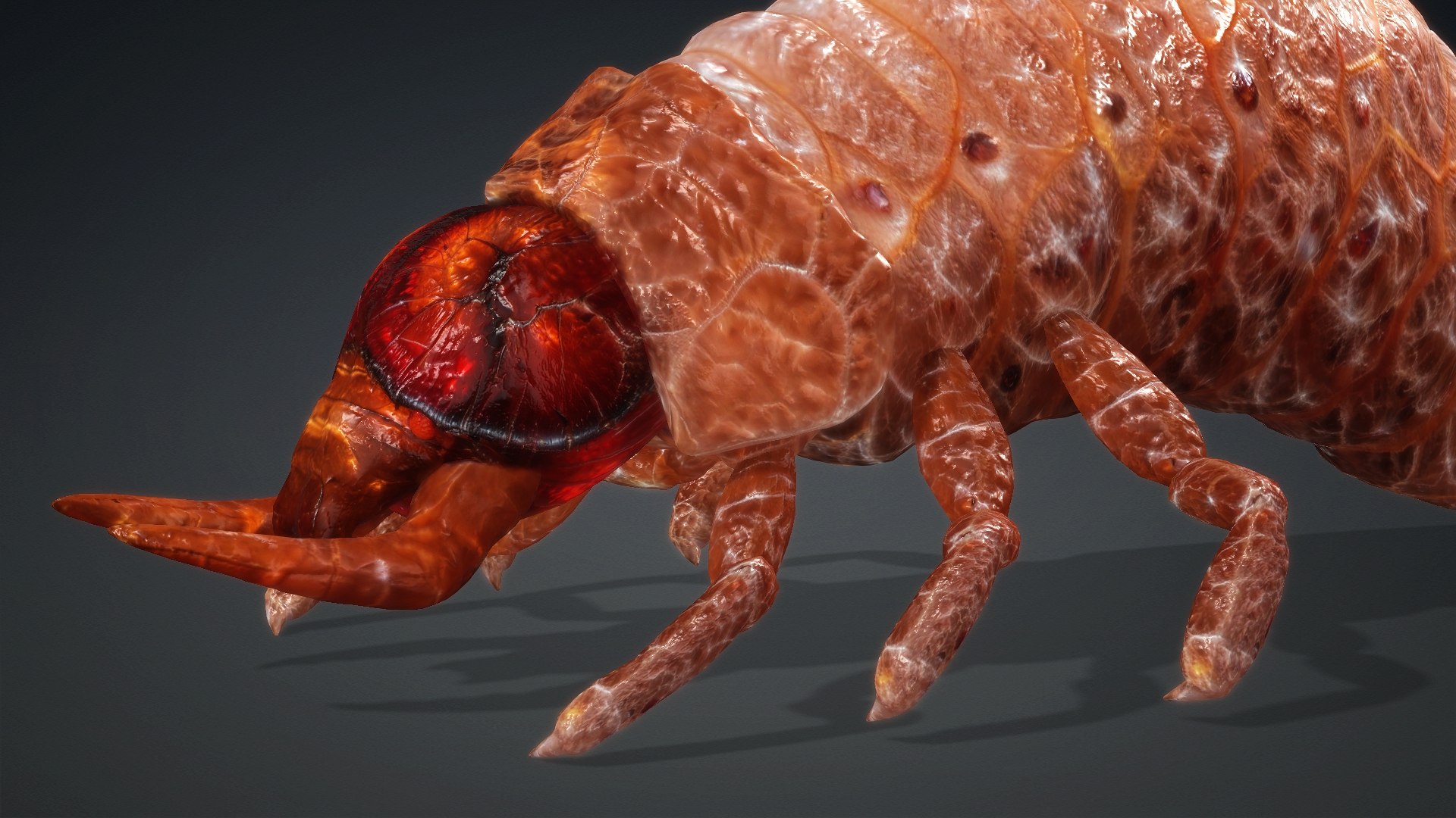3D Larval-V1e https://p.turbosquid.com/ts-thumb/5P/DEdYiq/cG/preview5/jpg/1776844379/1920x1080/fit_q87/ddfbe3000bc0bf86aae3da265ab27f221825353b/preview5.jpg