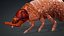 Larval-V1e