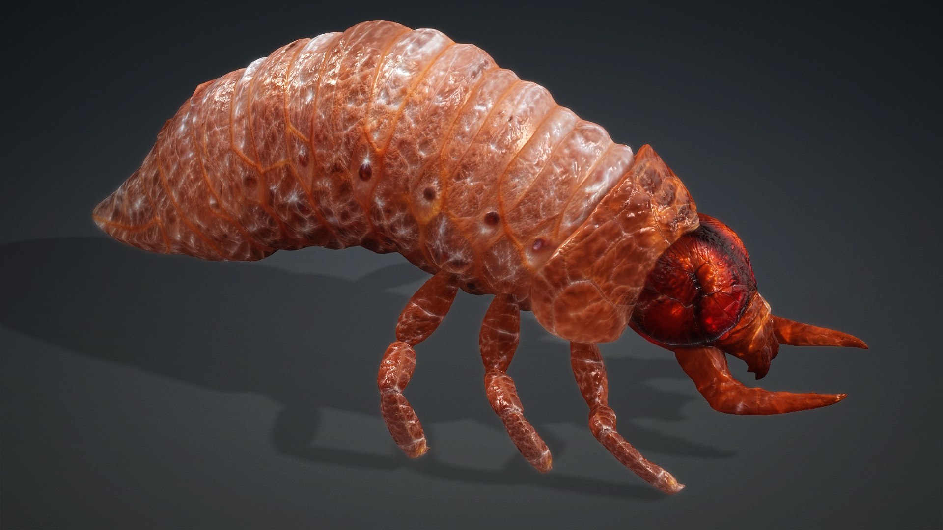 3D Larval-V1e https://p.turbosquid.com/ts-thumb/5P/DEdYiq/hC/preview3/jpg/1776844379/1920x1080/fit_q87/8d01d2339d90d4bd7c6f8cd8ec7d3853ee11b6b1/preview3.jpg