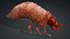 Larval-V1e