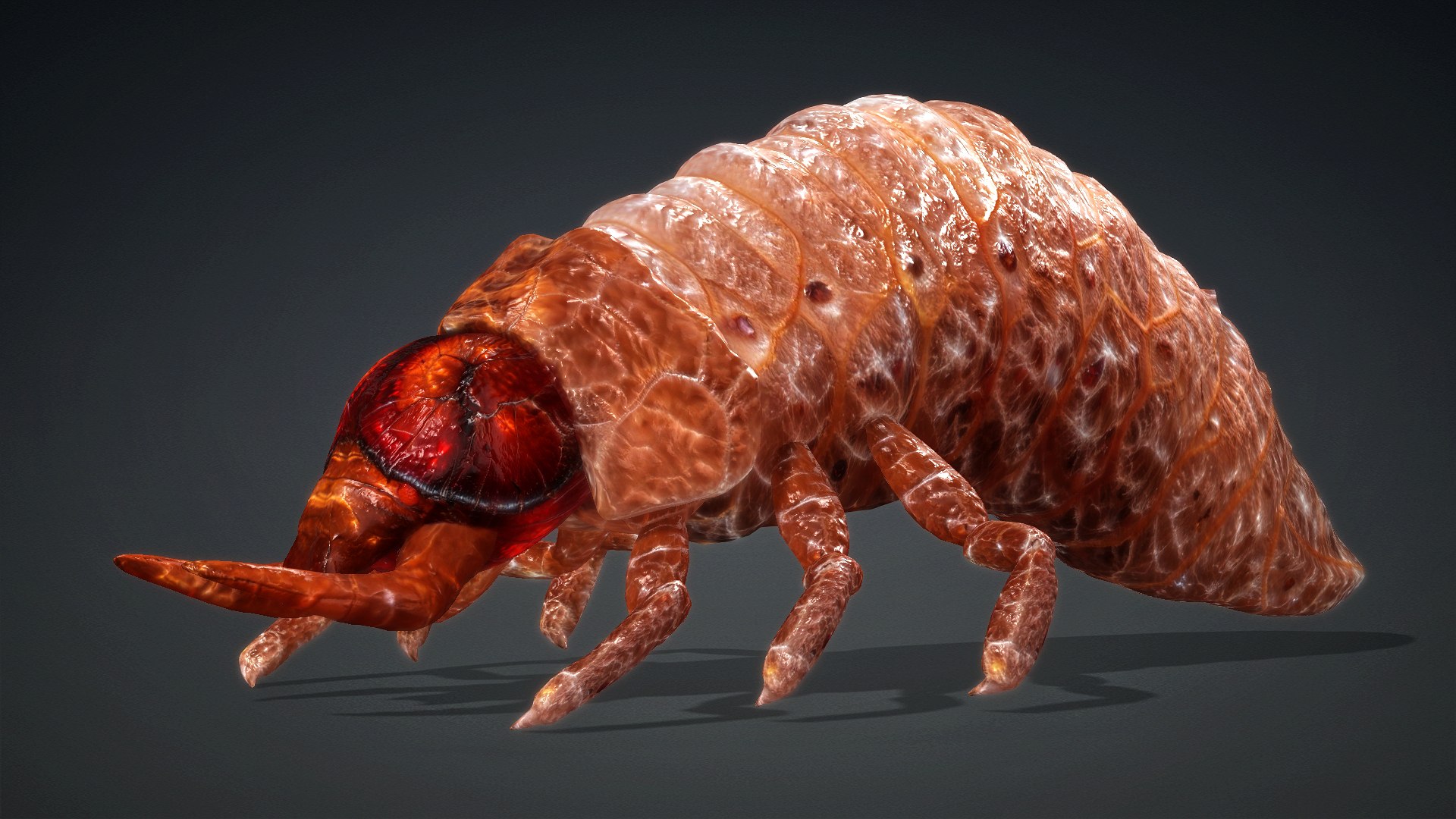 3D Larval-V1e https://p.turbosquid.com/ts-thumb/5P/DEdYiq/iM/preview1/jpg/1776844377/1920x1080/fit_q87/38205461b33b516c570656cf14de0714a9990768/preview1.jpg